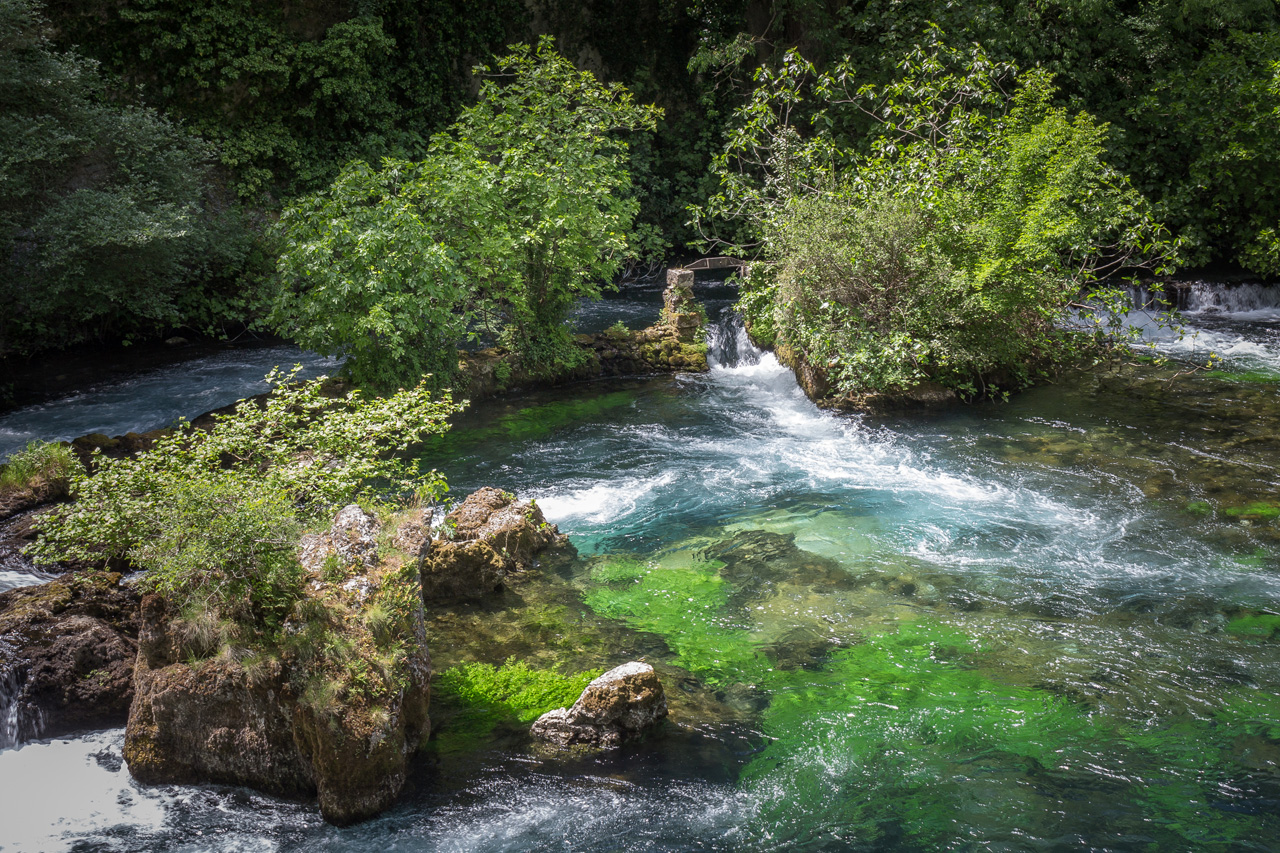 L'impétueuse rivière de la Sorgue et son environnement sauvage
